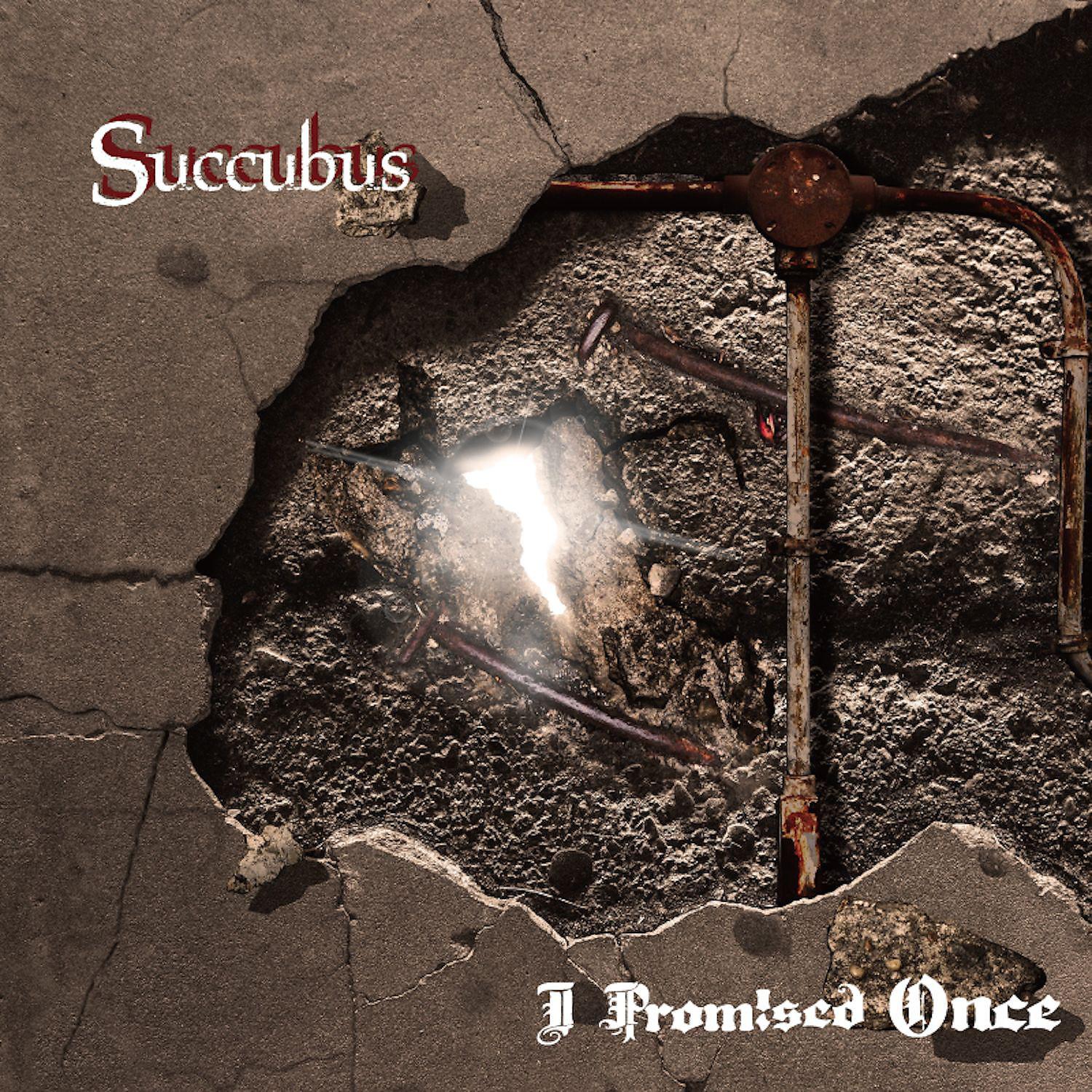 Постер альбома Succubus (feat. Shrezzers)