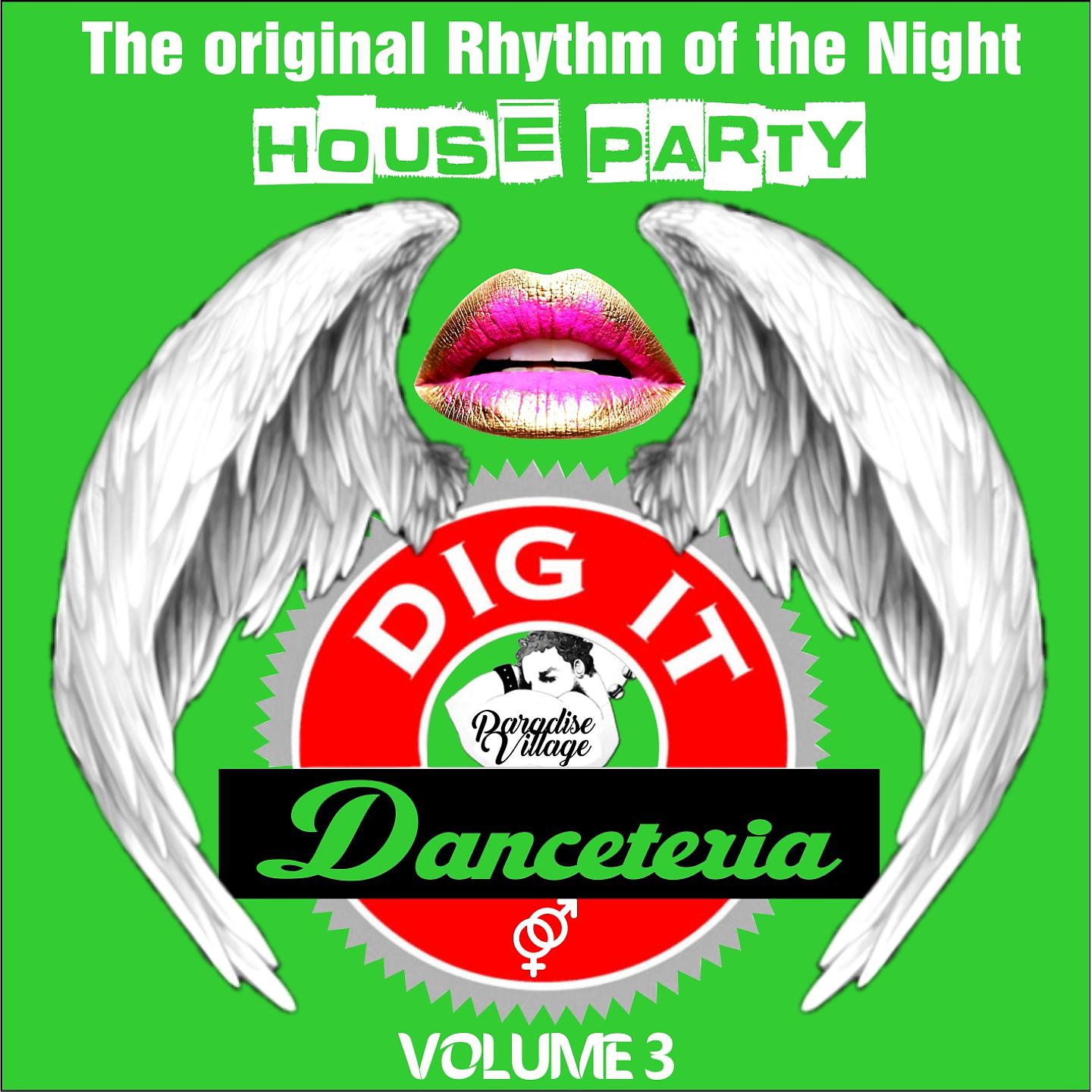 Постер альбома Danceteria Dig-It - Volume 3 - The Original Rhythm of the Night - House Party