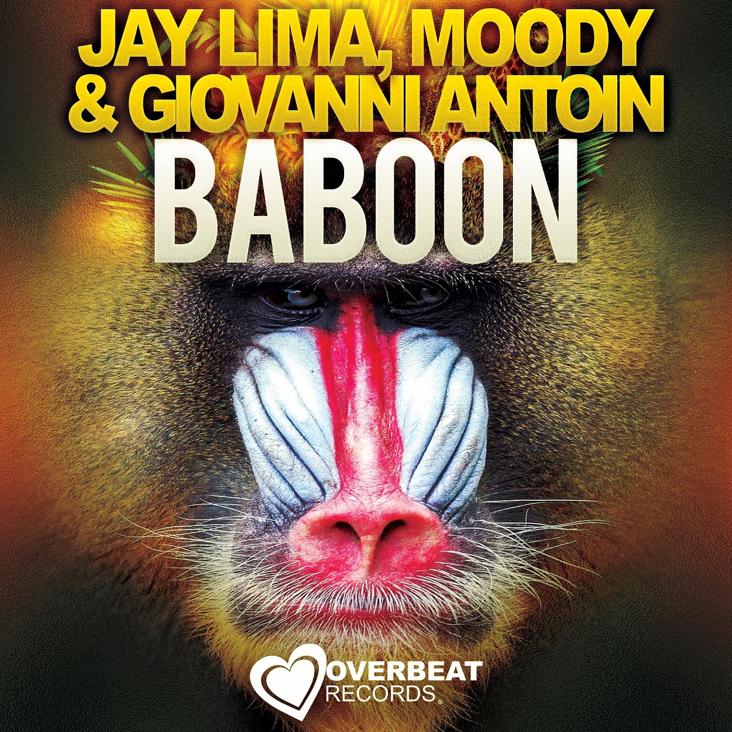 Постер альбома Baboon