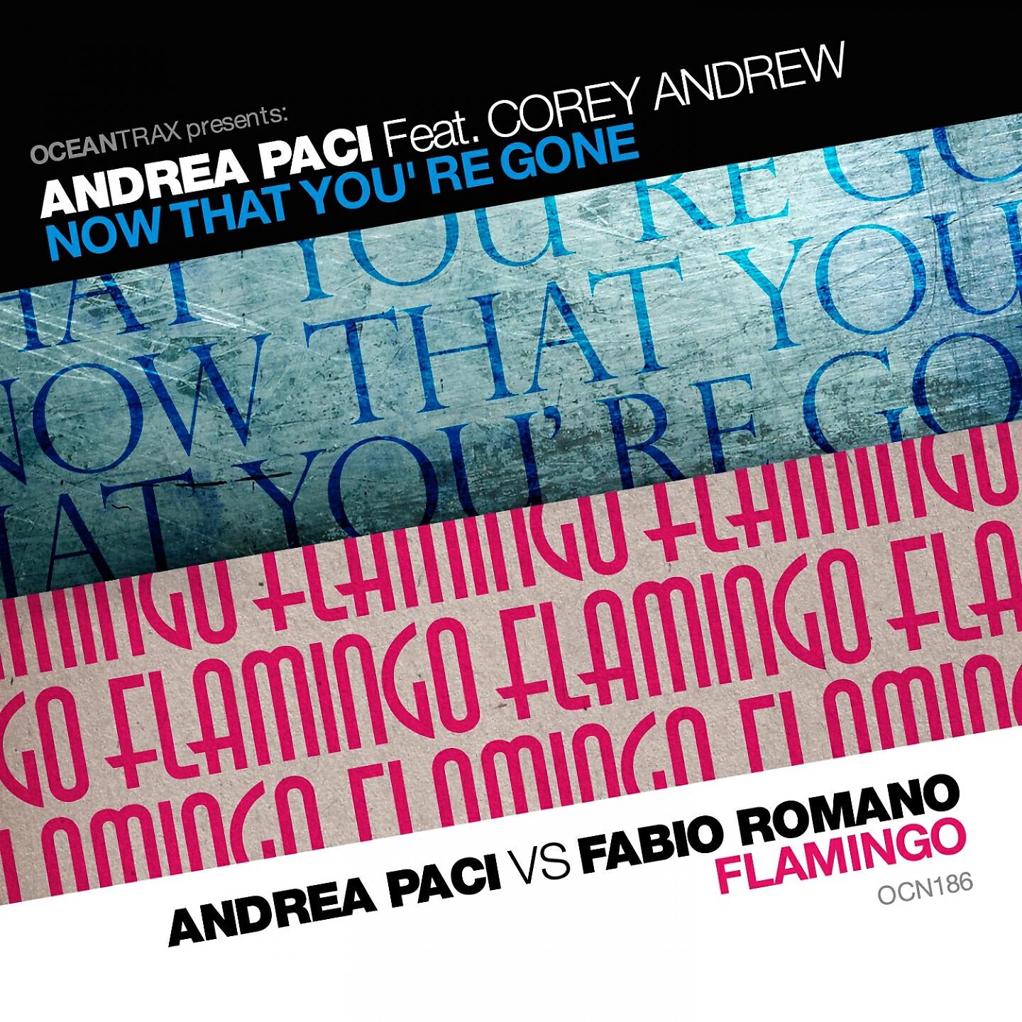 Andrea Paci - Now That Yoùre Gone (Andrea Paci Radio Edit)
