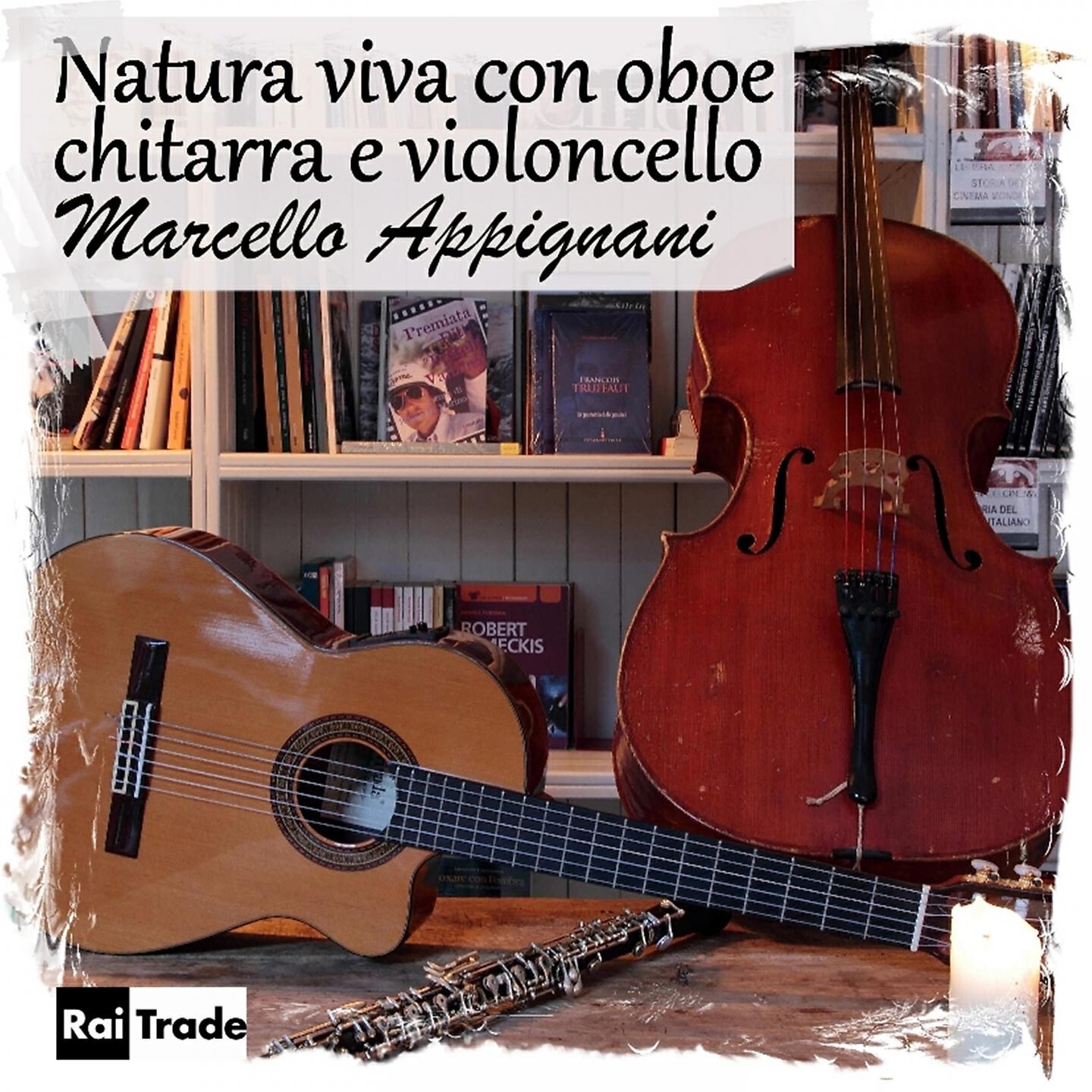Marcello Appignani - La presenza di giano