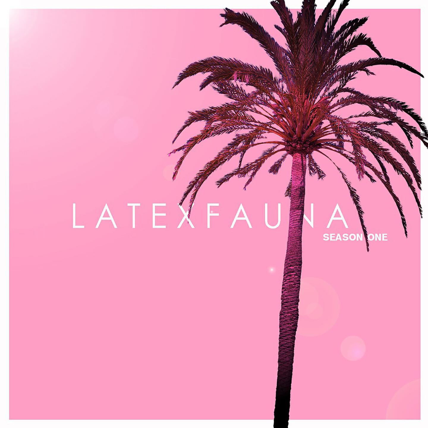 LATEXFAUNA - KLAN SOKOLA
