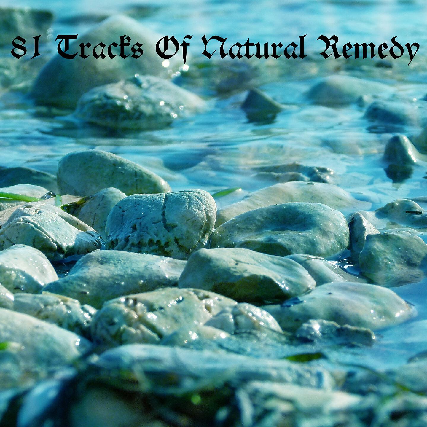 Relaxing Music Therapy - Bones For Thought
