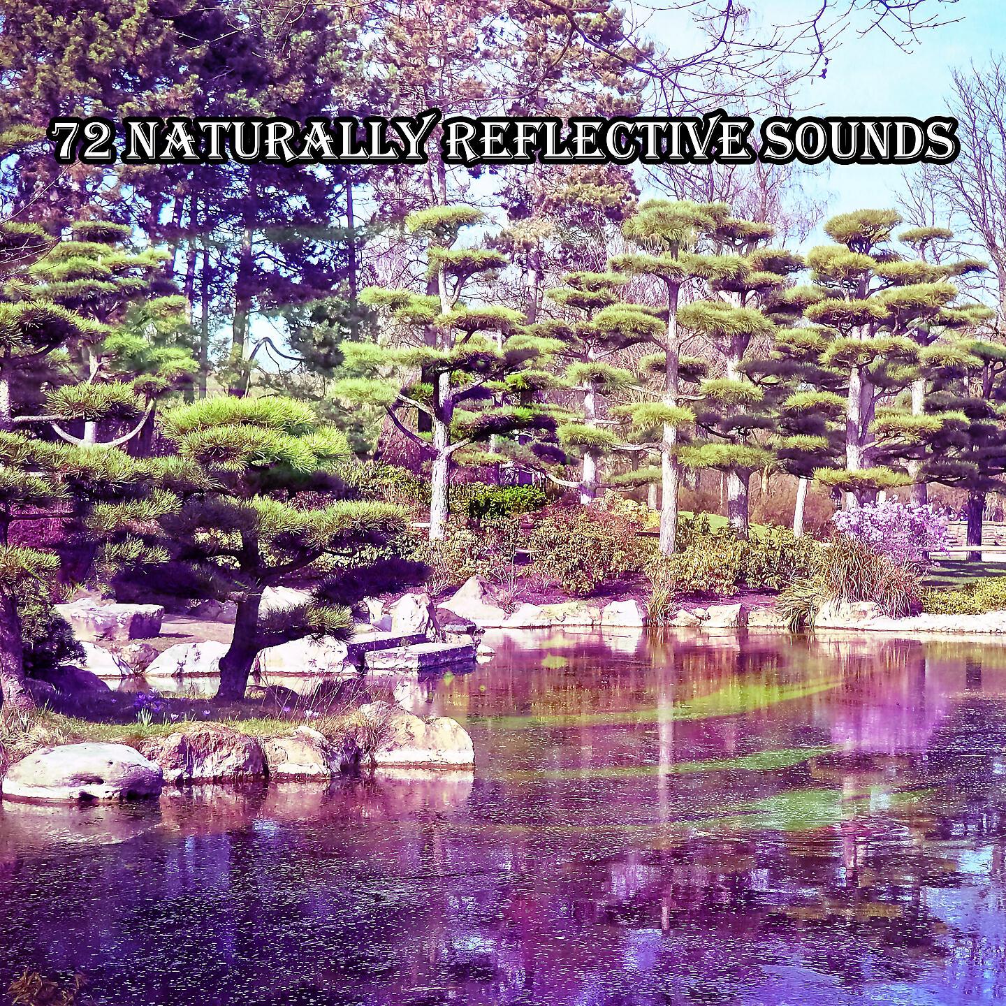 Echoes Of Nature - Zen Time