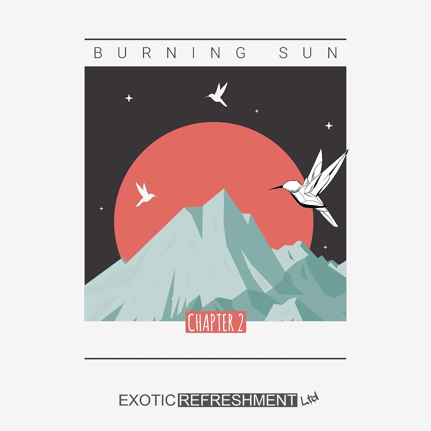 Постер альбома Burning Sun - Chapter 2