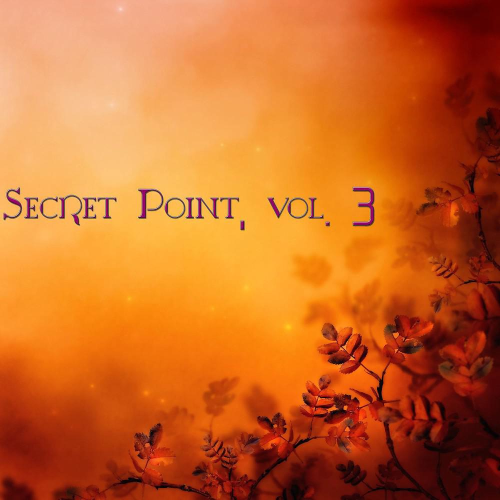Постер альбома Secret Point, Vol. 3 (Chill Dream)