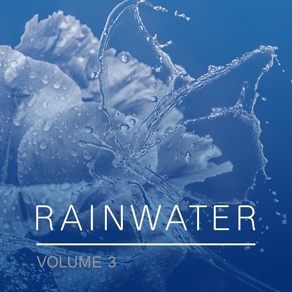 Постер альбома Rainwater, Vol. 3