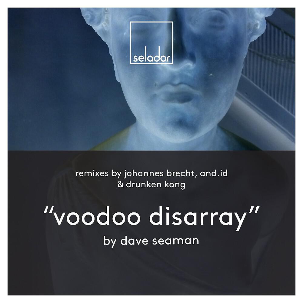 Dave Seaman - Voodoo Disarray (And.Id Remix)