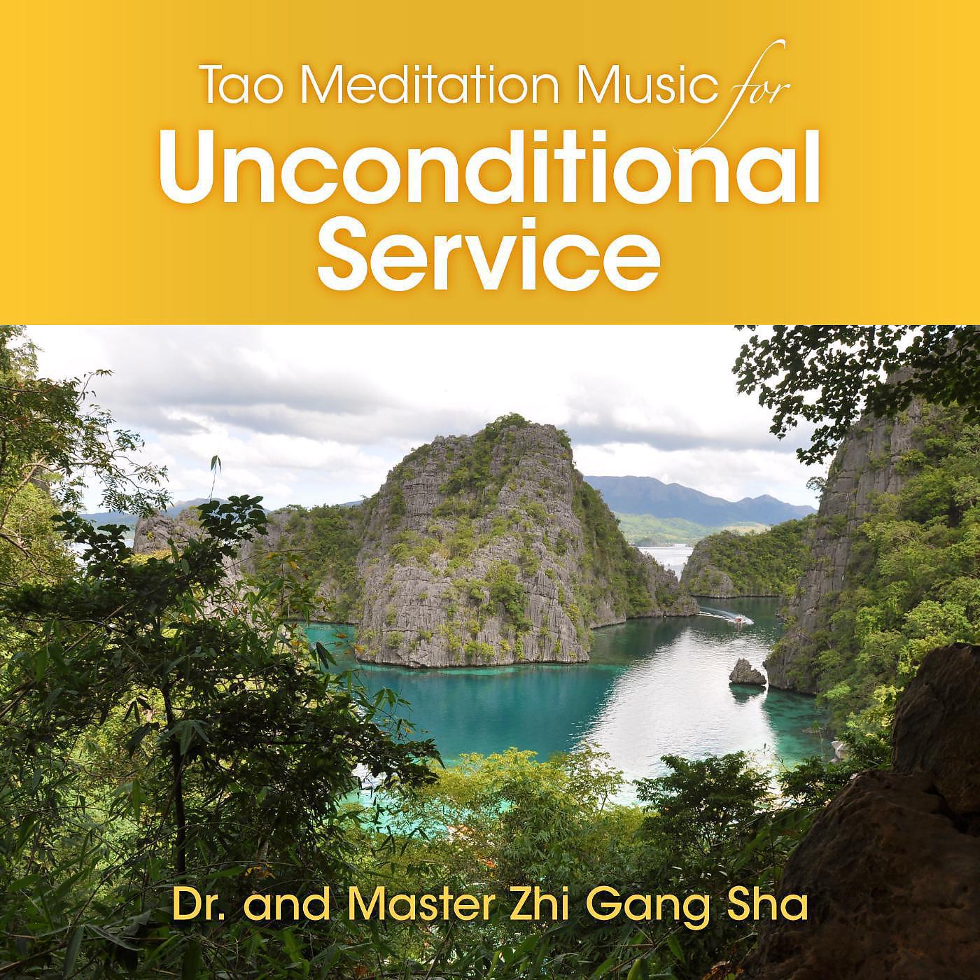 Постер альбома Tao Meditation Music for Unconditional Service