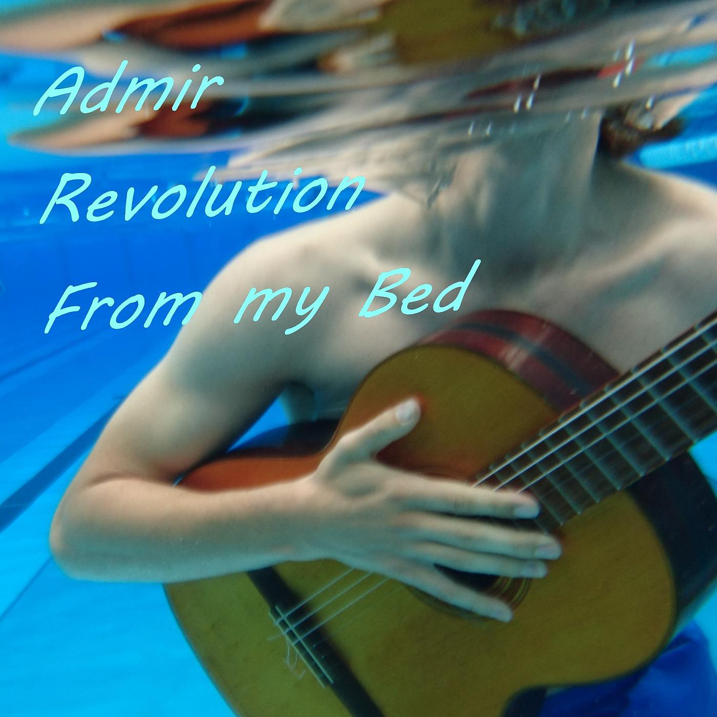 Постер альбома Revolution from My Bed