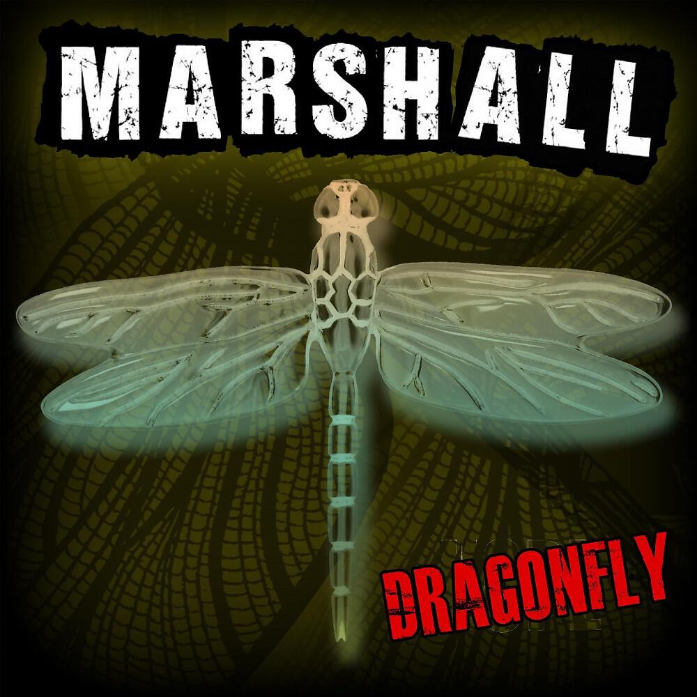 MarshAll - Can You Hear Me?