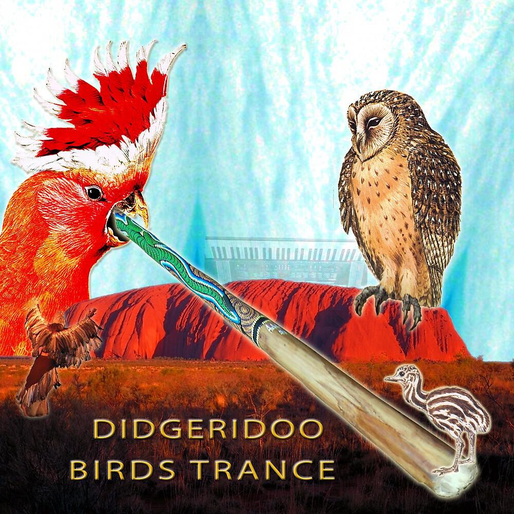 Ariel Kalma - Emu Drum Dance