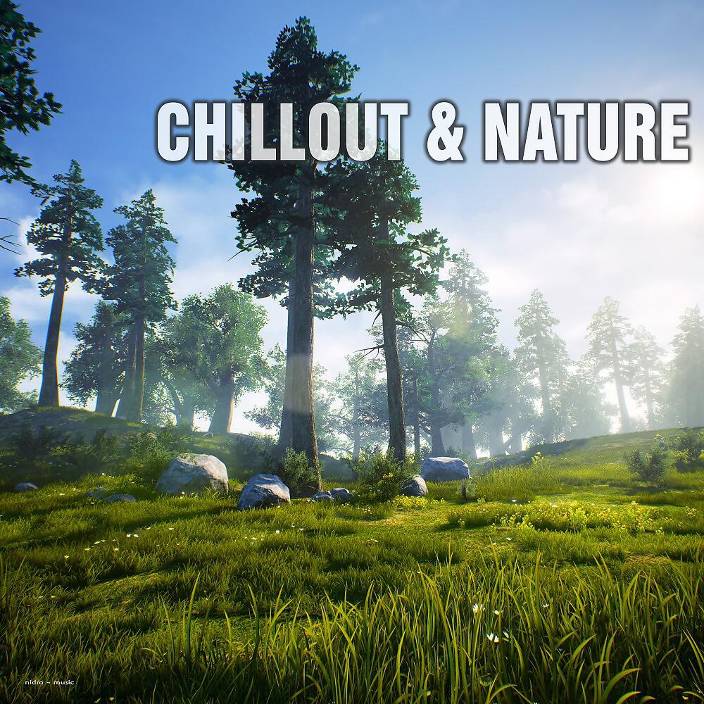 Azeotrop - Chill Rules