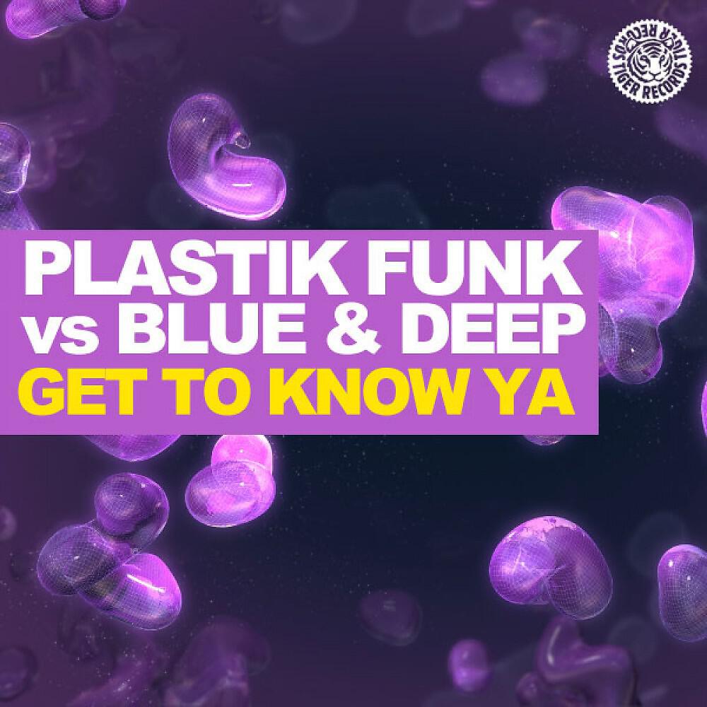 Plastik Funk vs. Blue & Deep - Get to Know Ya (Markus Binapfl Remix)