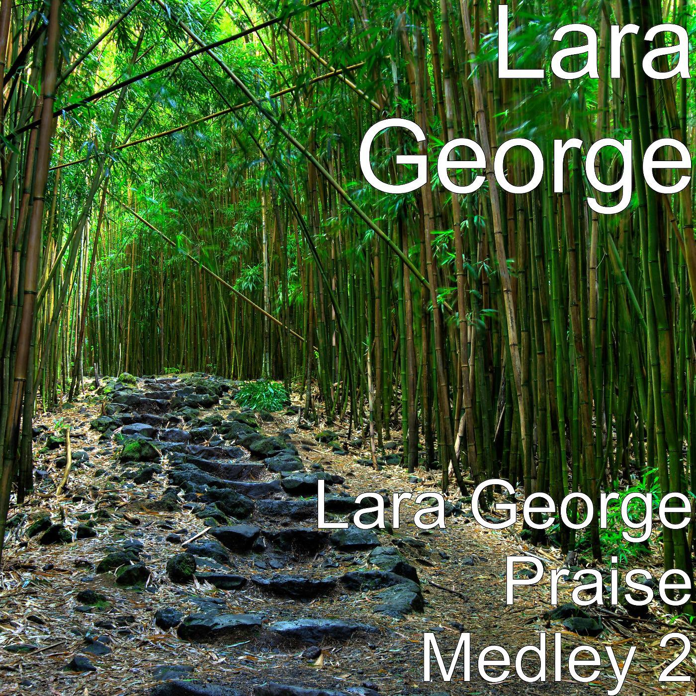 Постер альбома Lara George Praise Medley 2