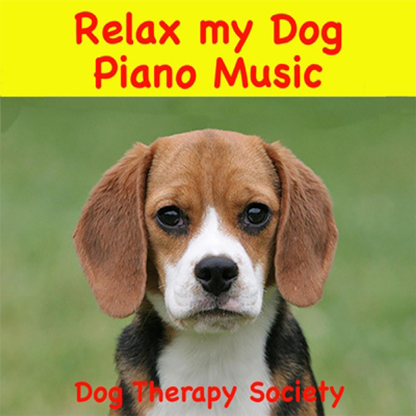 Постер альбома Relax My Dog Piano Music