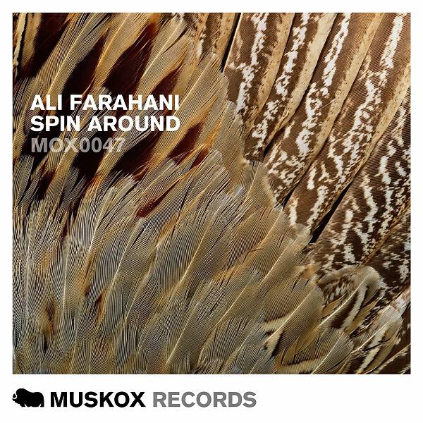 Ali Farahani - Spin Around