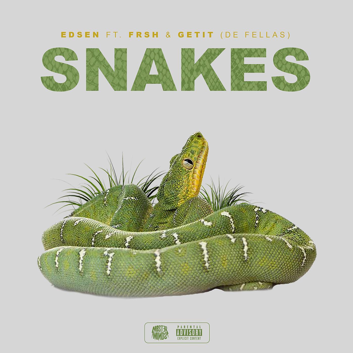 Постер альбома Snakes (feat. Frsh & Getit)