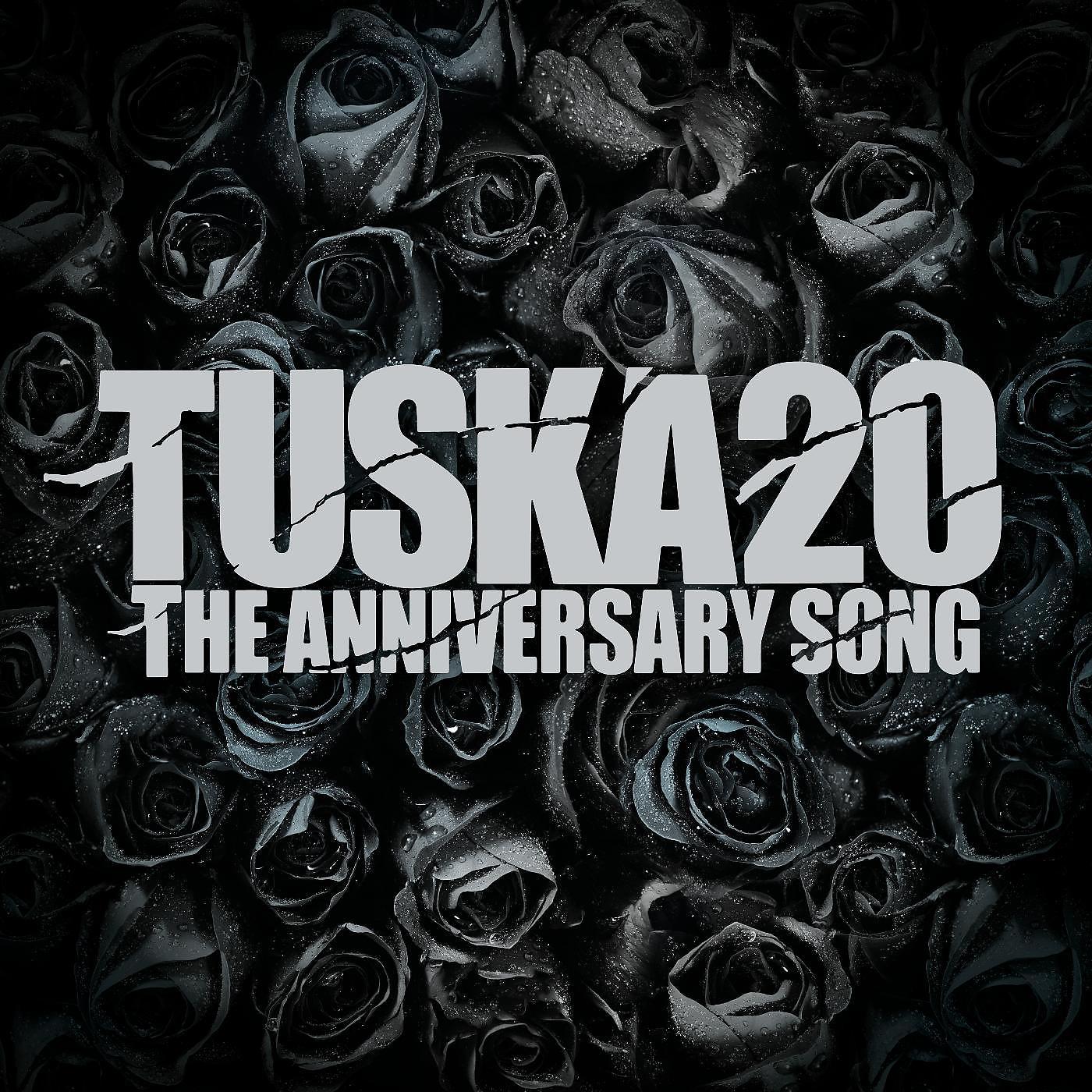 Постер альбома Tuska20 the Anniversary Song