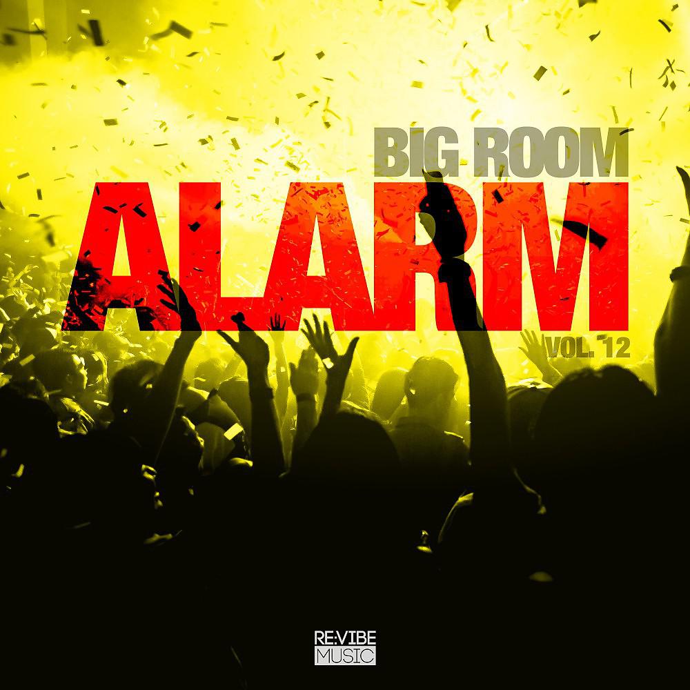 Постер альбома Big Room Alarm, Vol. 12