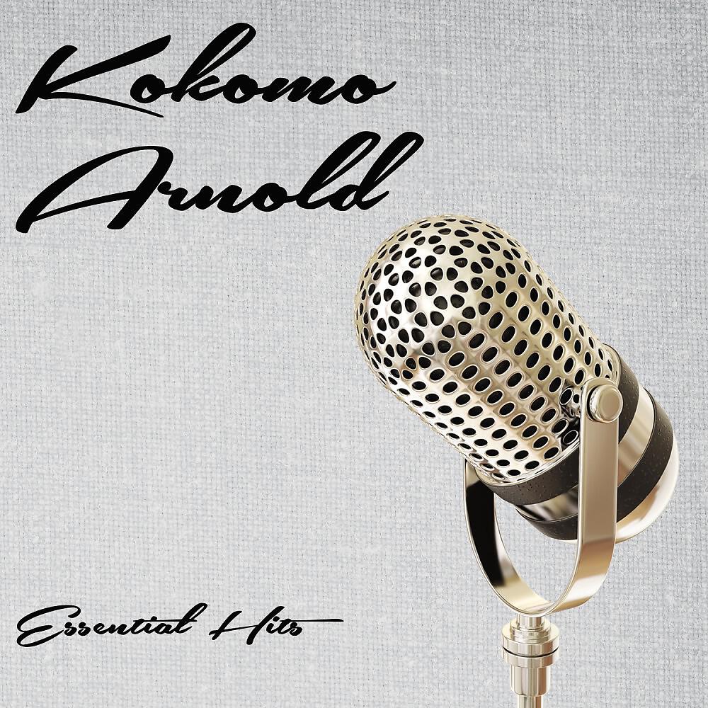Kokomo Arnold - Mean Old Twister (Original Mix)