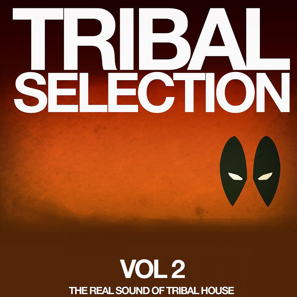 Indo Tribe - A Plain Song (Rhythmix Mix)