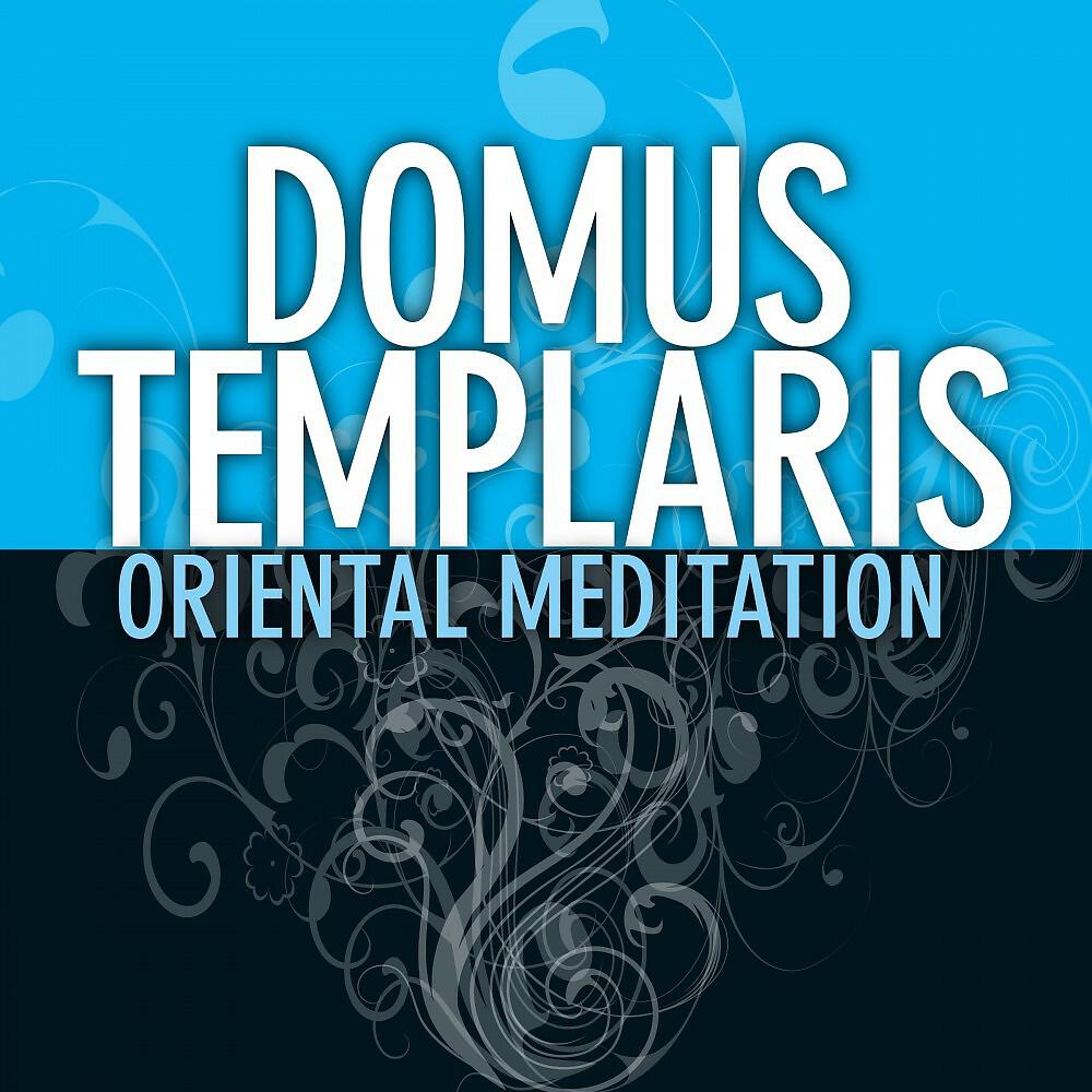 Domus Templaris - Apogeo