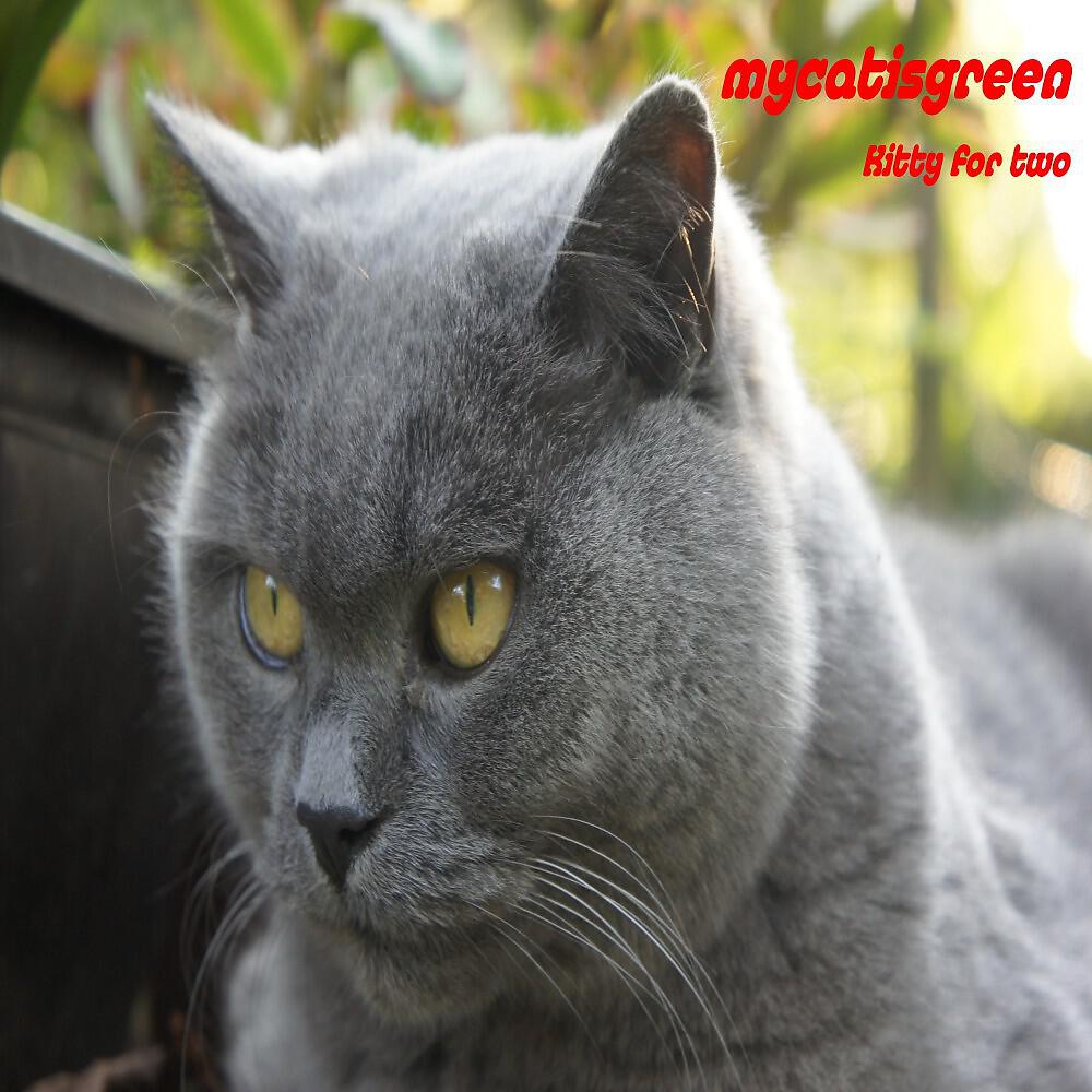 mycatisgreen - Wah Wah, Smelly Dog !