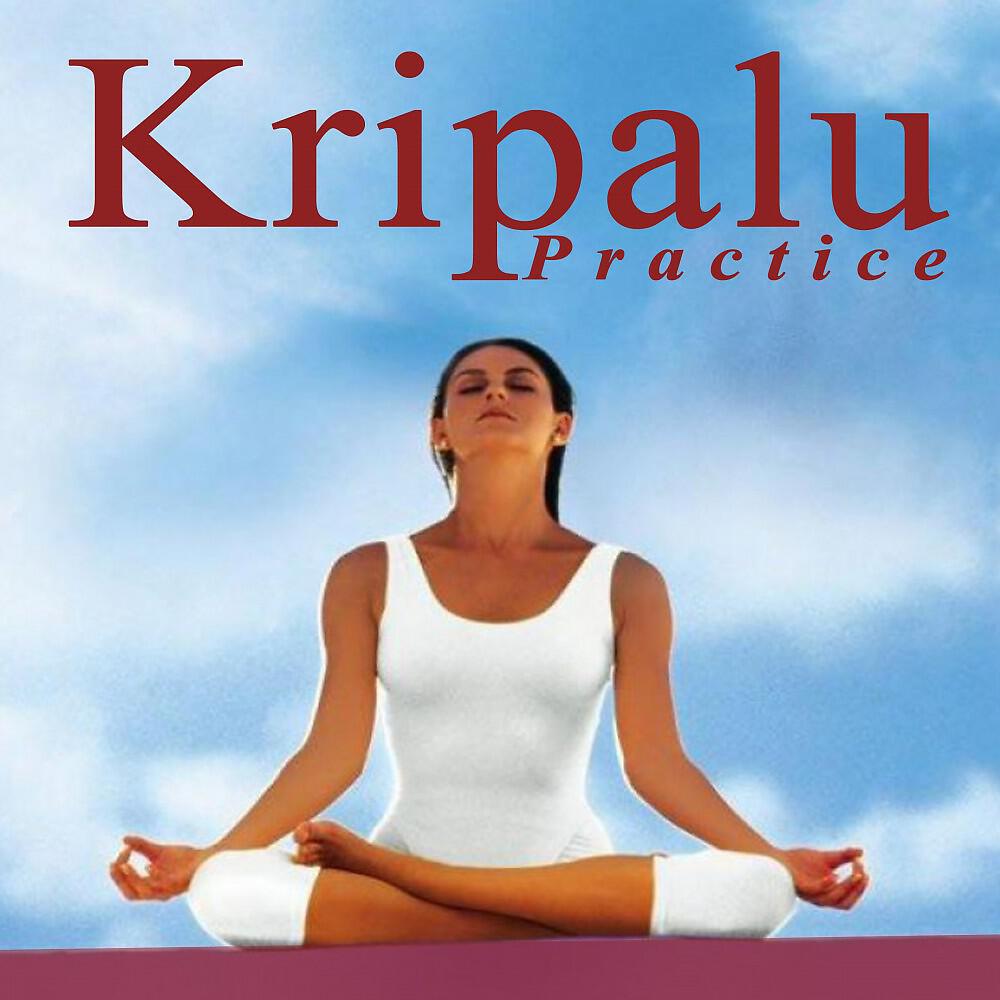 Zensation - The Yoga Sutras of Patanjali