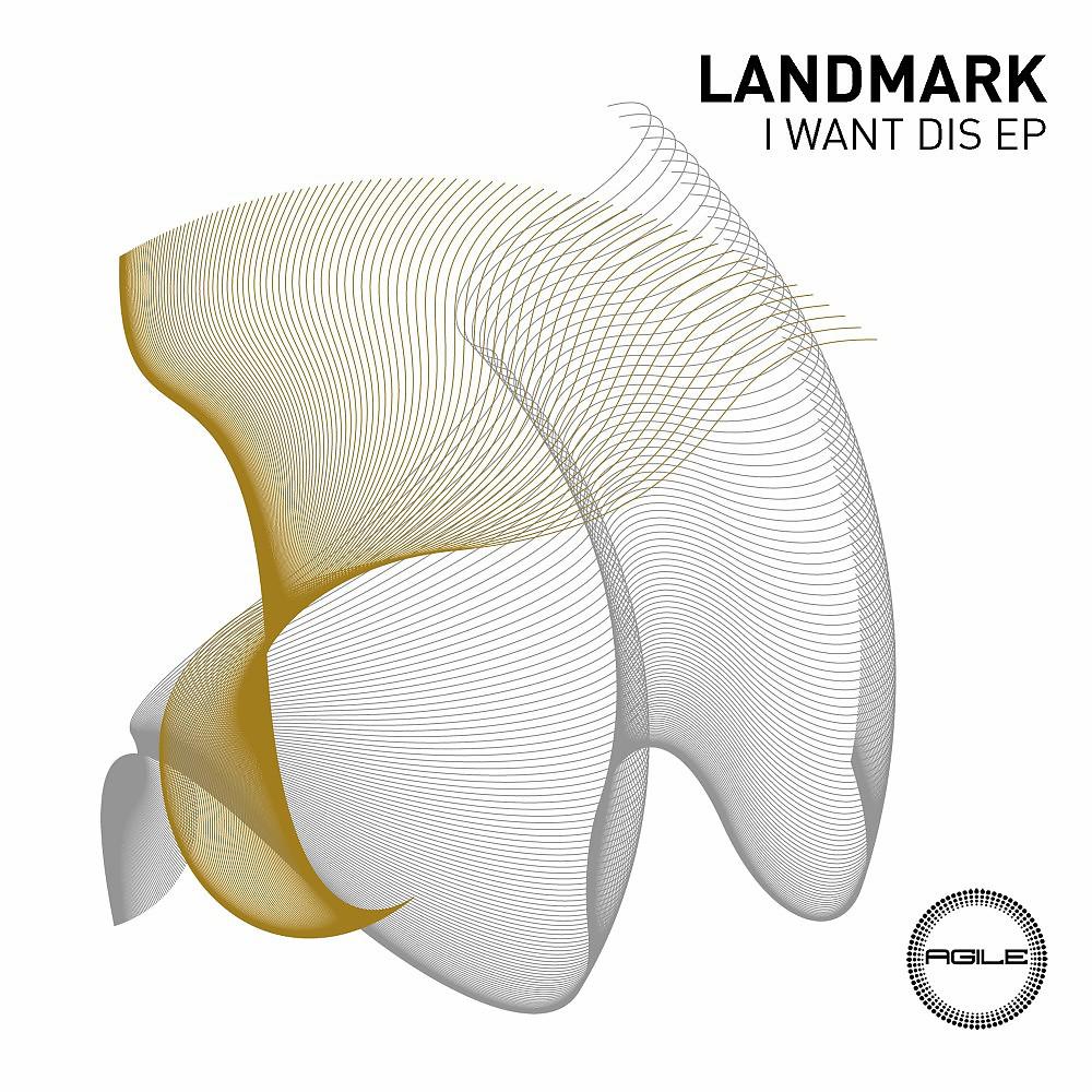 Постер альбома Landmark - I Want Dis EP
