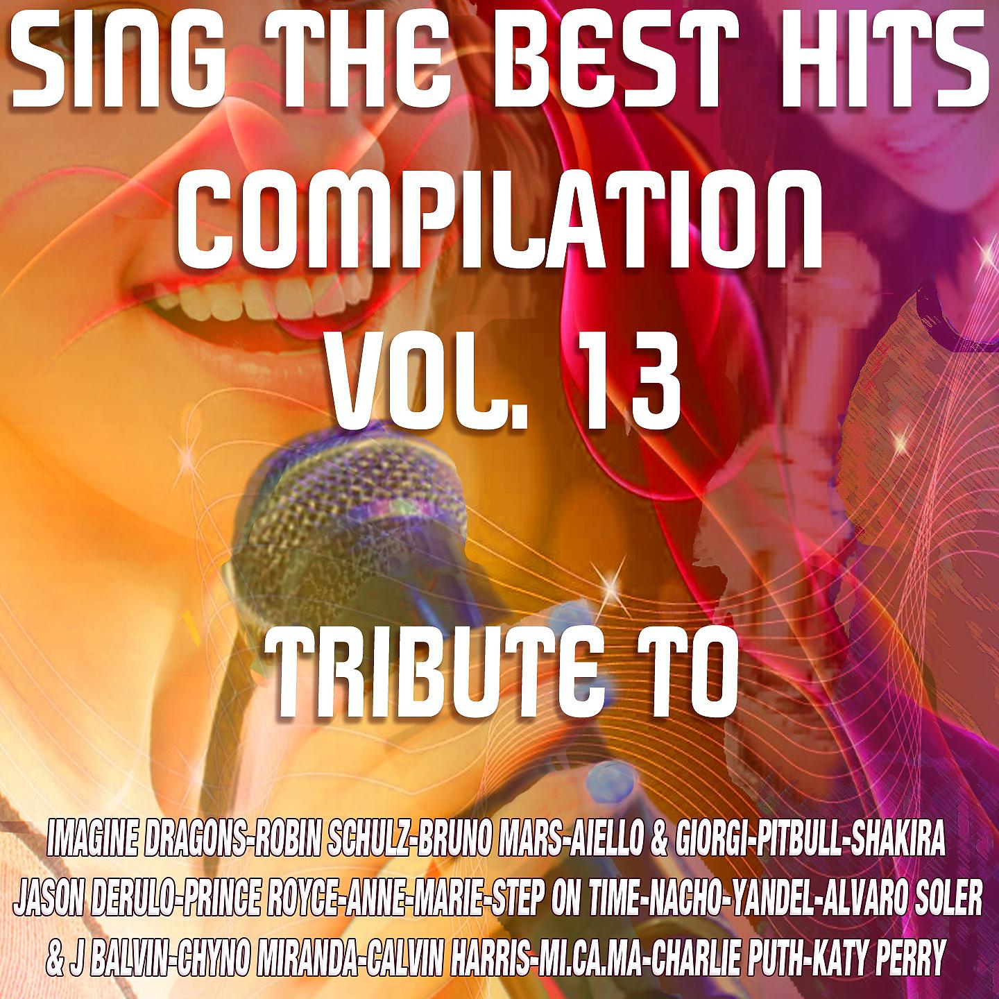 Постер альбома Sing The Best Hits Vol. 13