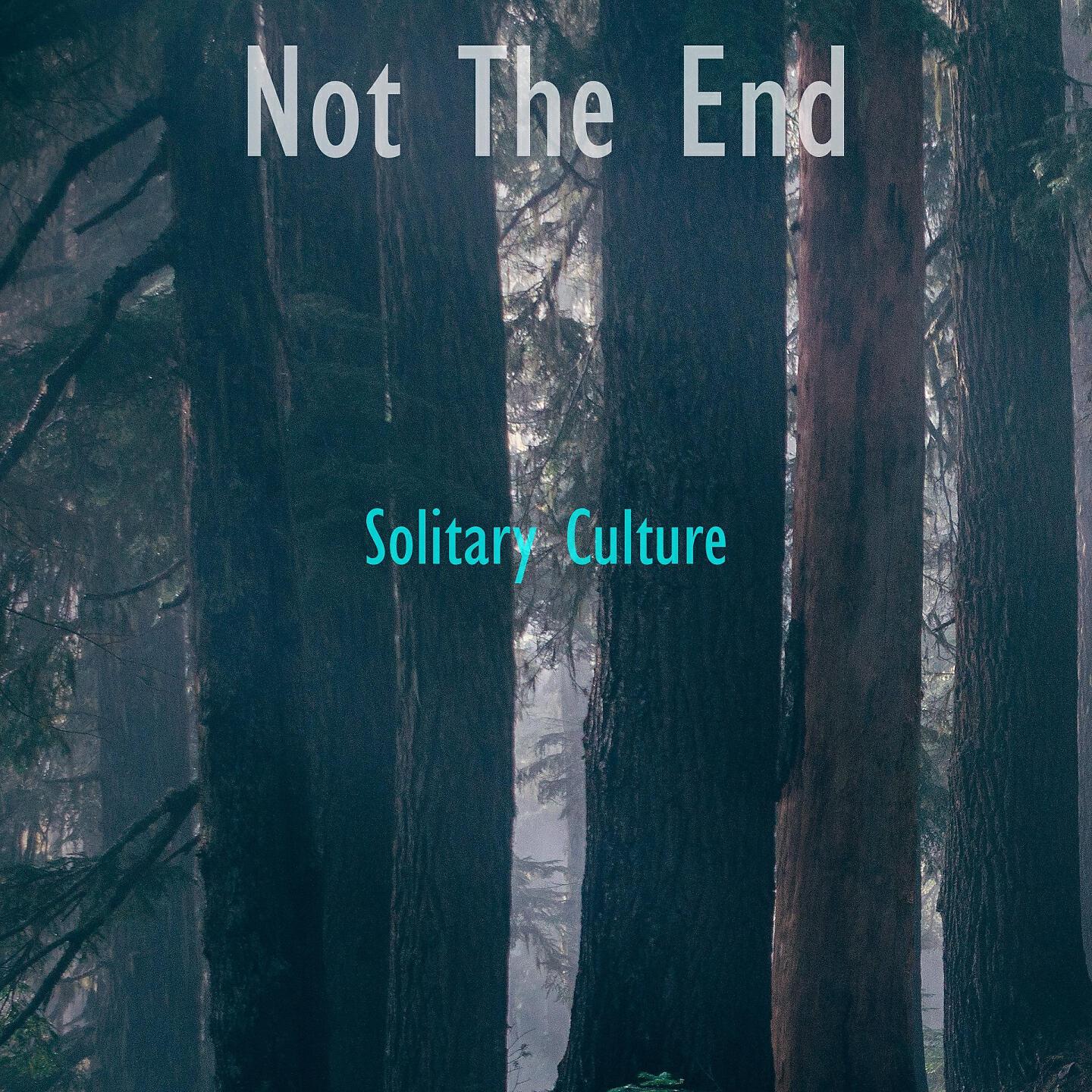 Solitary Culture - Two Plus Two