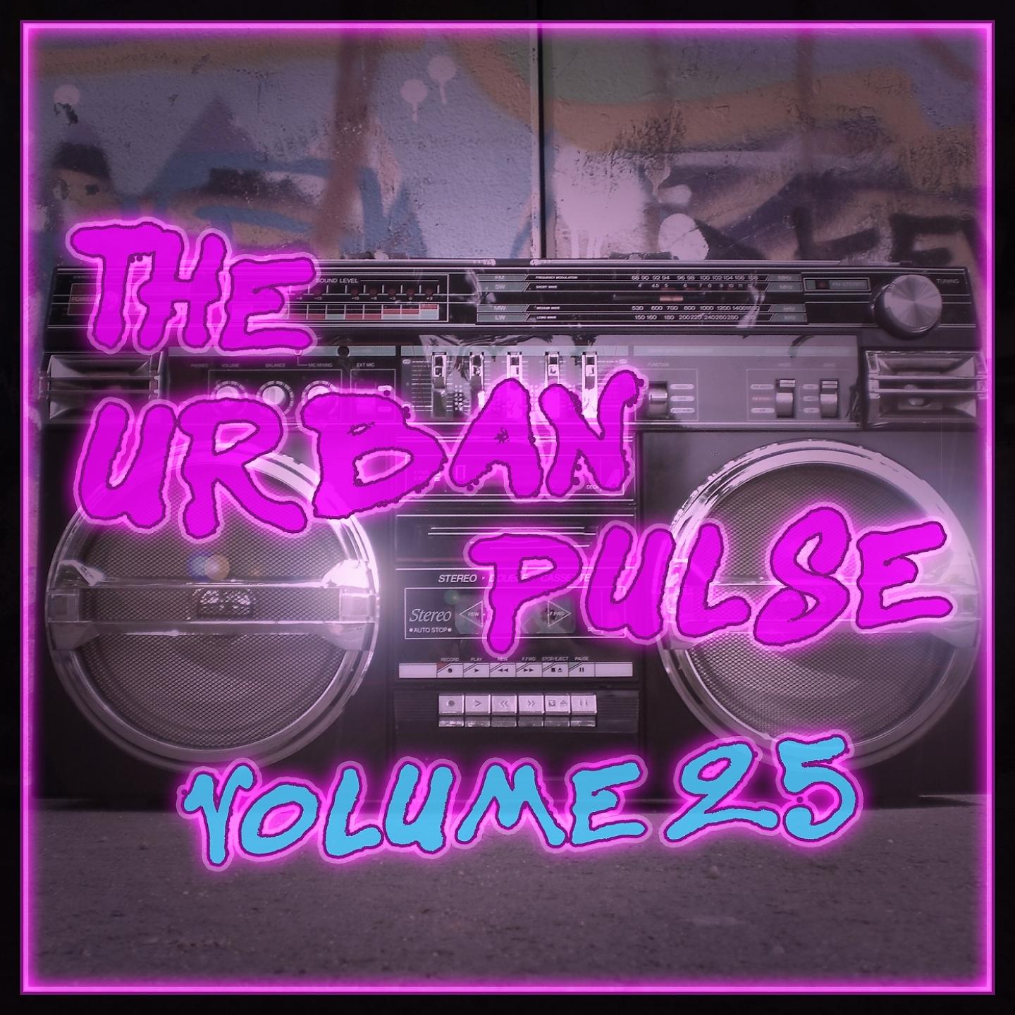 Постер альбома The Urban Pulse,Vol.25