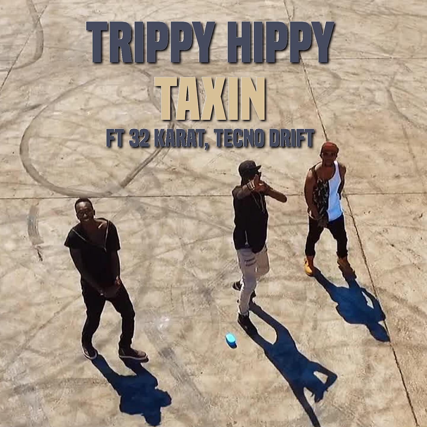 Trippy Hippy - Taxin'