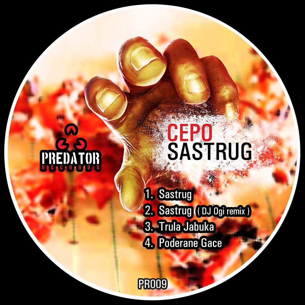 Постер альбома Sastrug