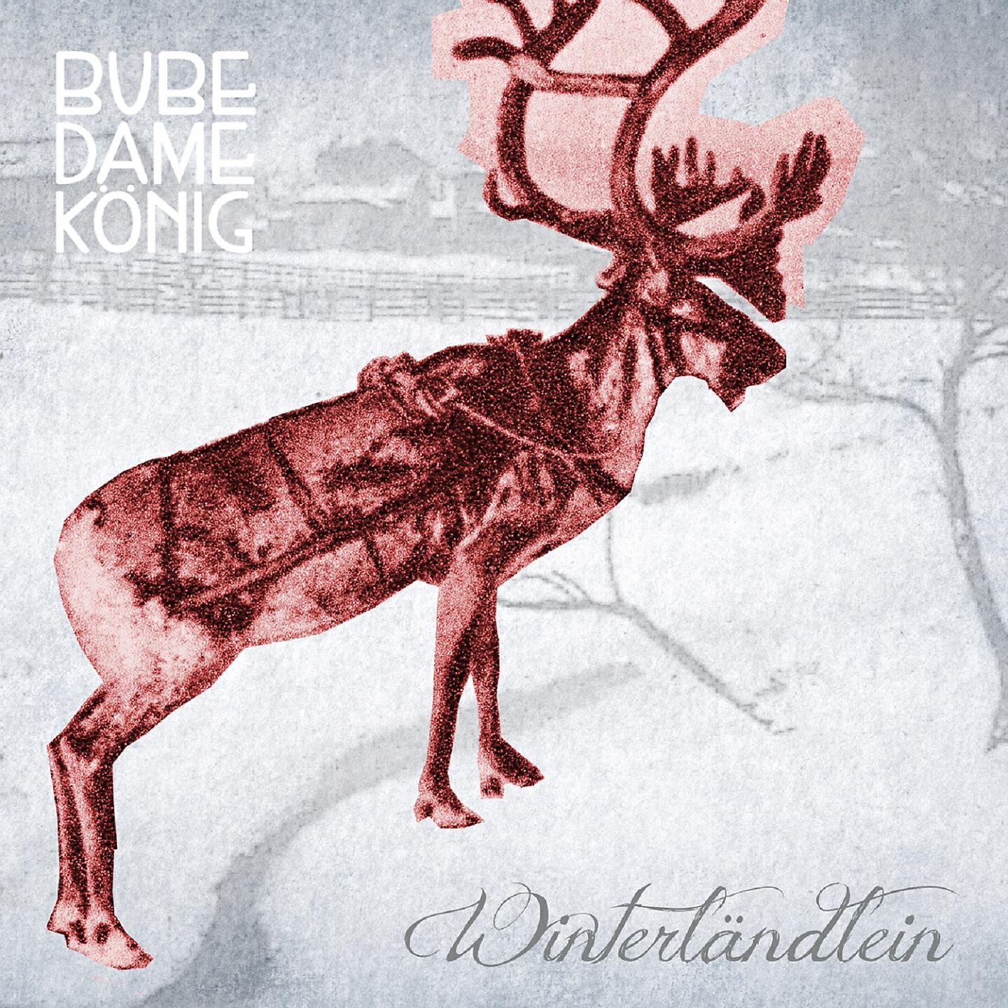 Bube Dame König - Knecht Ruprecht