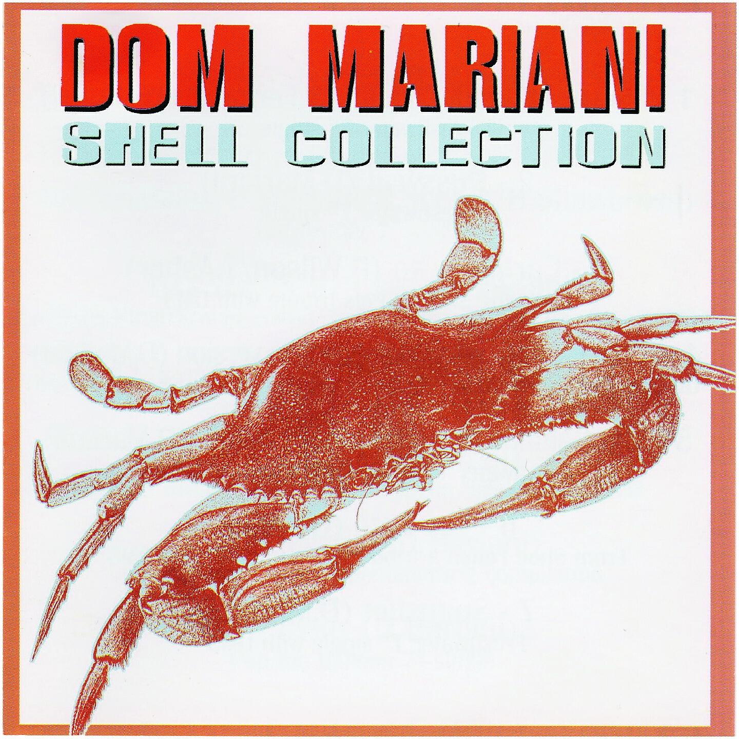 Dom Mariani - I Never Thought I'd Find
