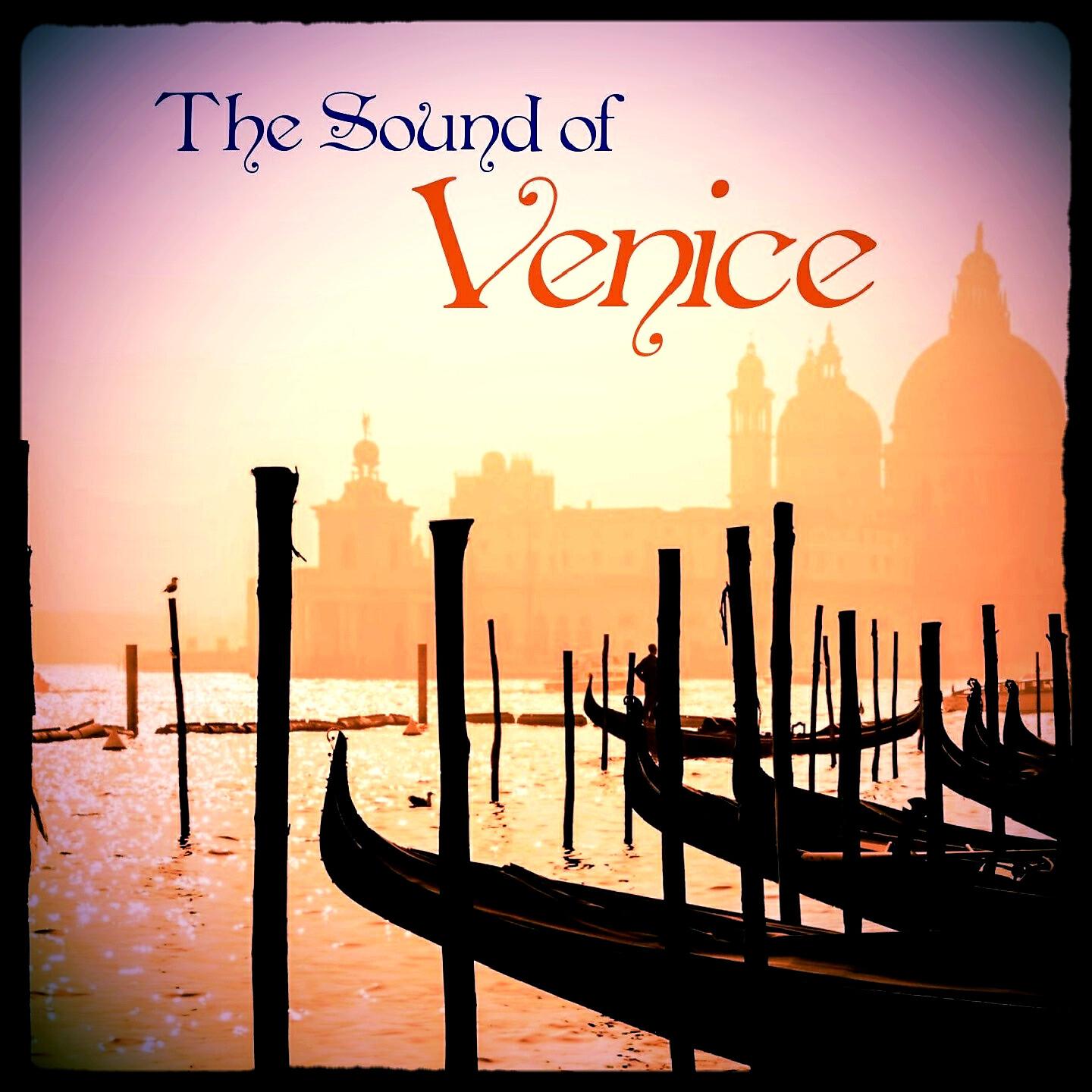 I Musici - Concerto for Viola d'amore in D Minor, RV 394: II. Largo