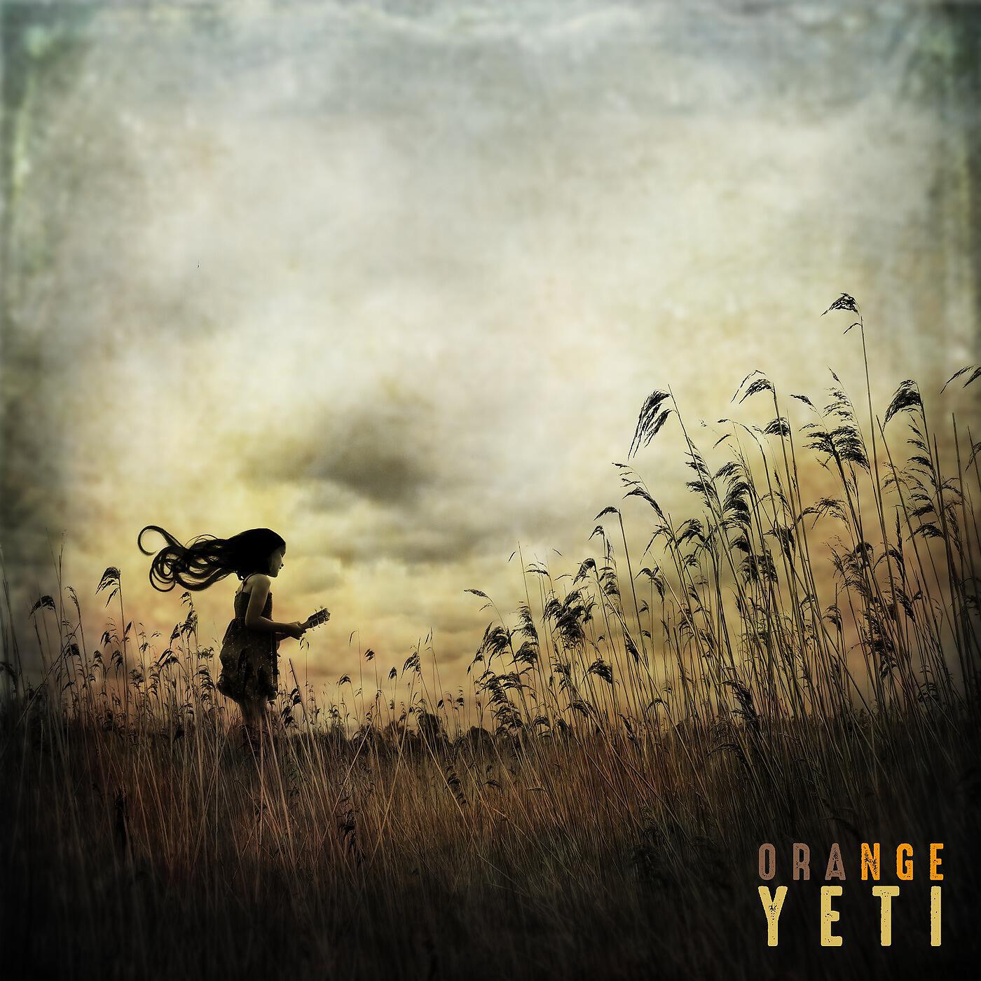 Orange Yeti - Tourne La Page