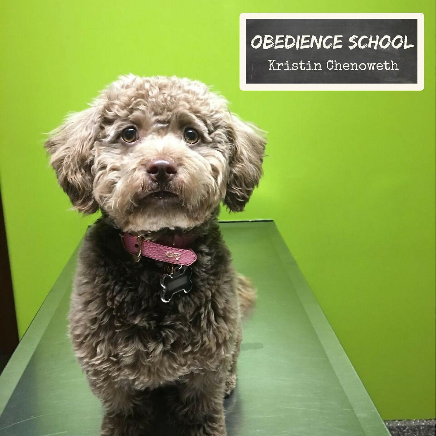 Постер альбома Obedience School