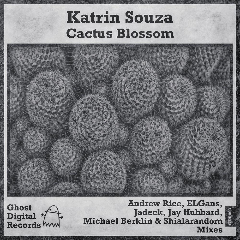 Katrin Souza - Cactus Blossom (Michael Berklin & Shialarandom Remix)