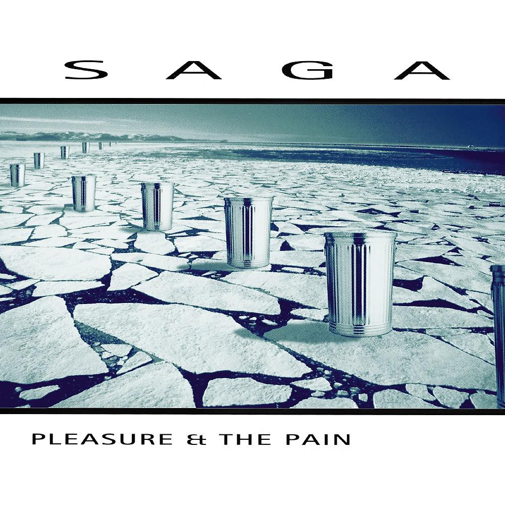 Постер альбома Pleasure and the Pain (2016 Version)