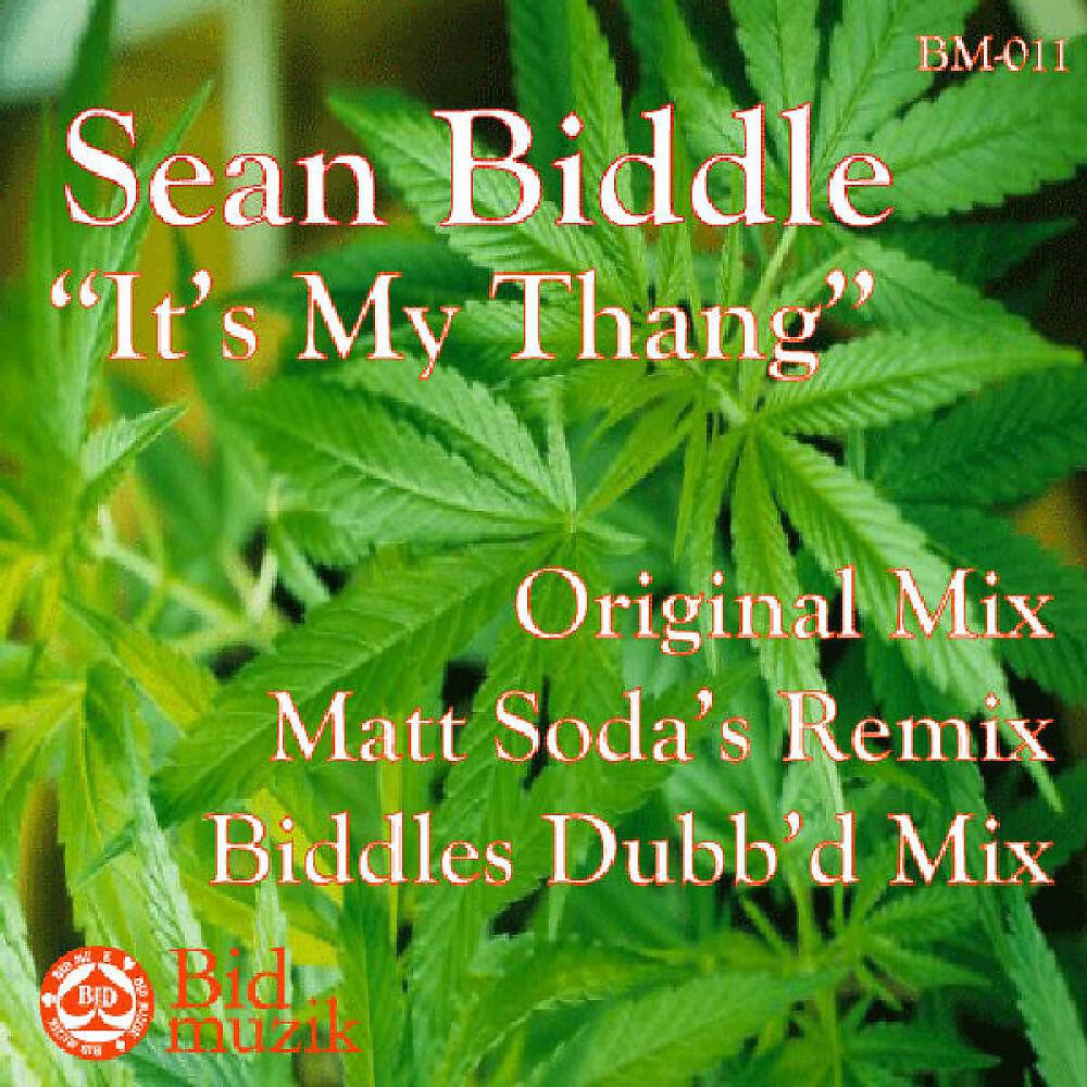 Sean Biddle - It's My Thang (Matt Soda's Remix)