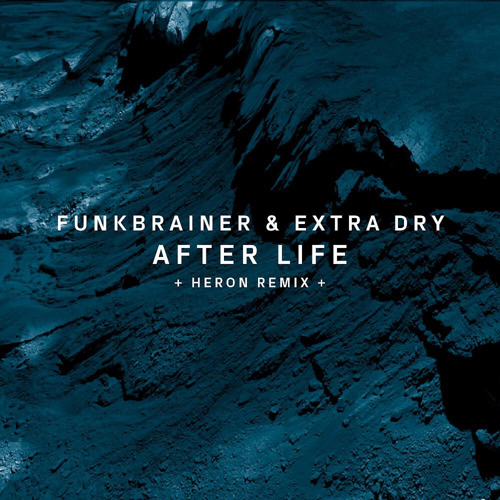 Funkbrainer - After Life (Original Mix)