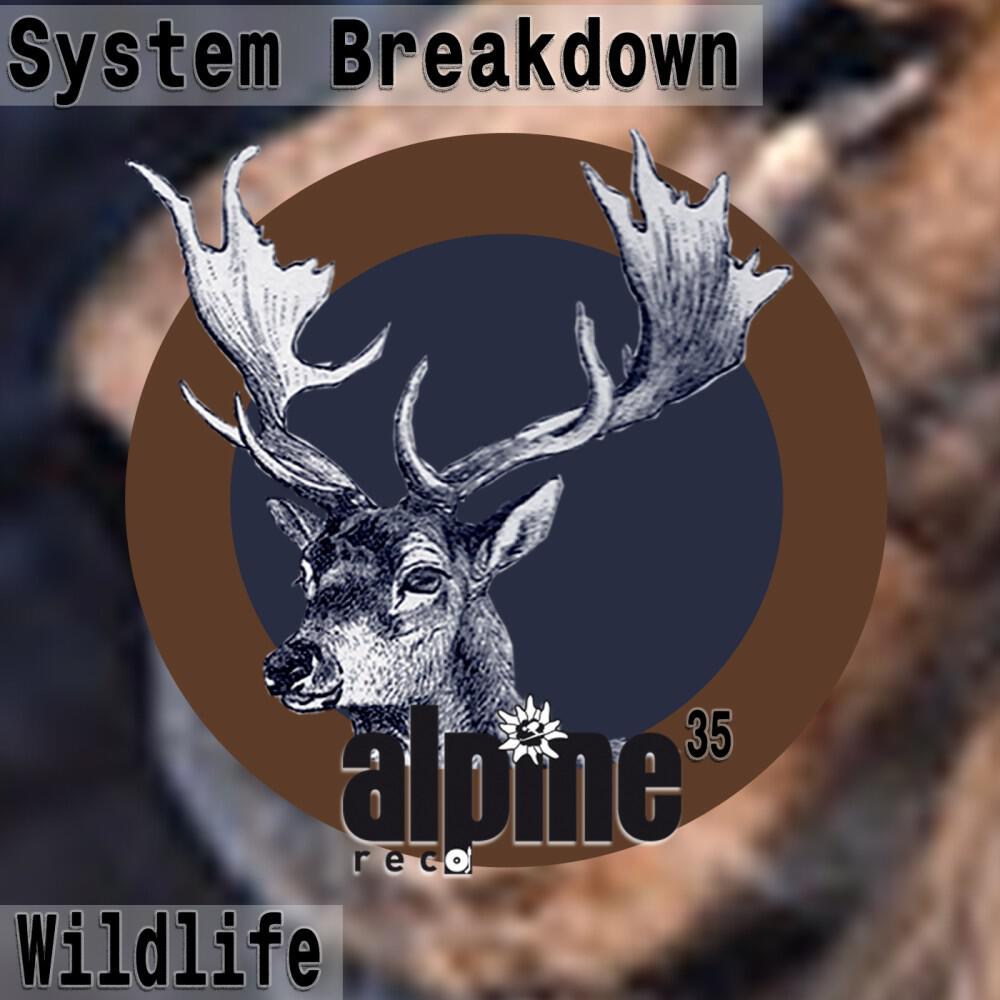 System Breakdown - Safari (Long Version)