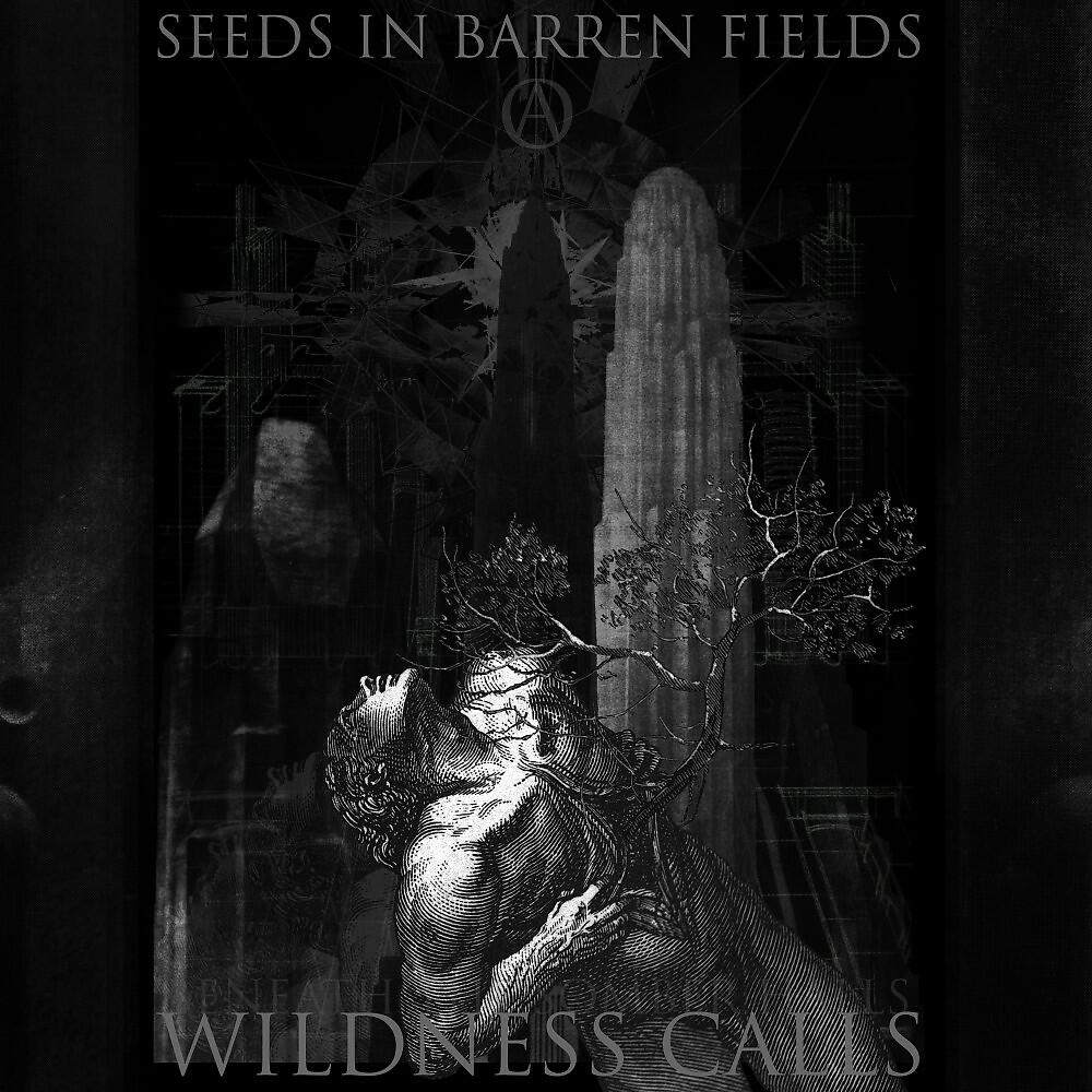 Seeds in Barren Fields - Beneath the Somber Halls