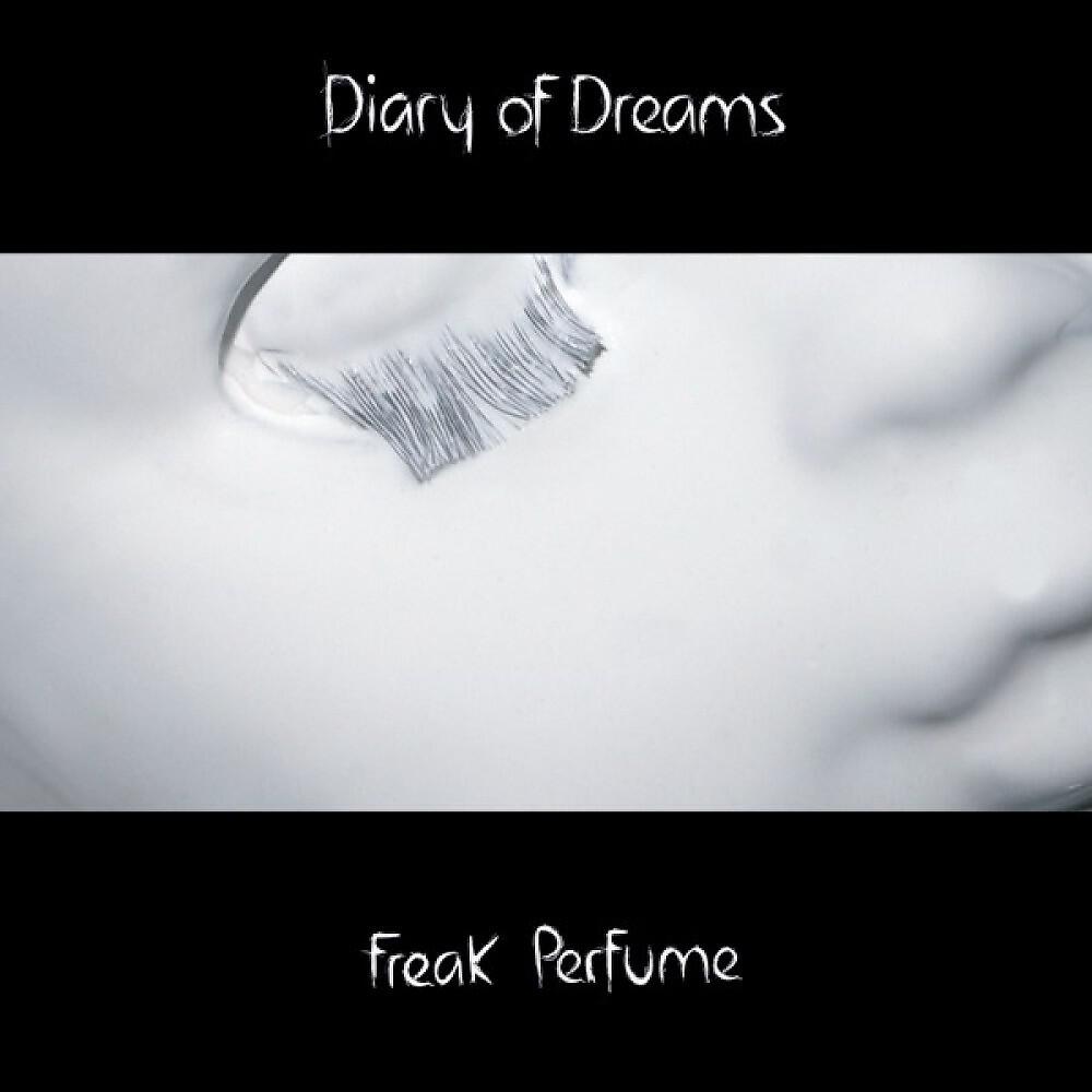 Diary of Dreams - She and Her Darkness (Farewell)