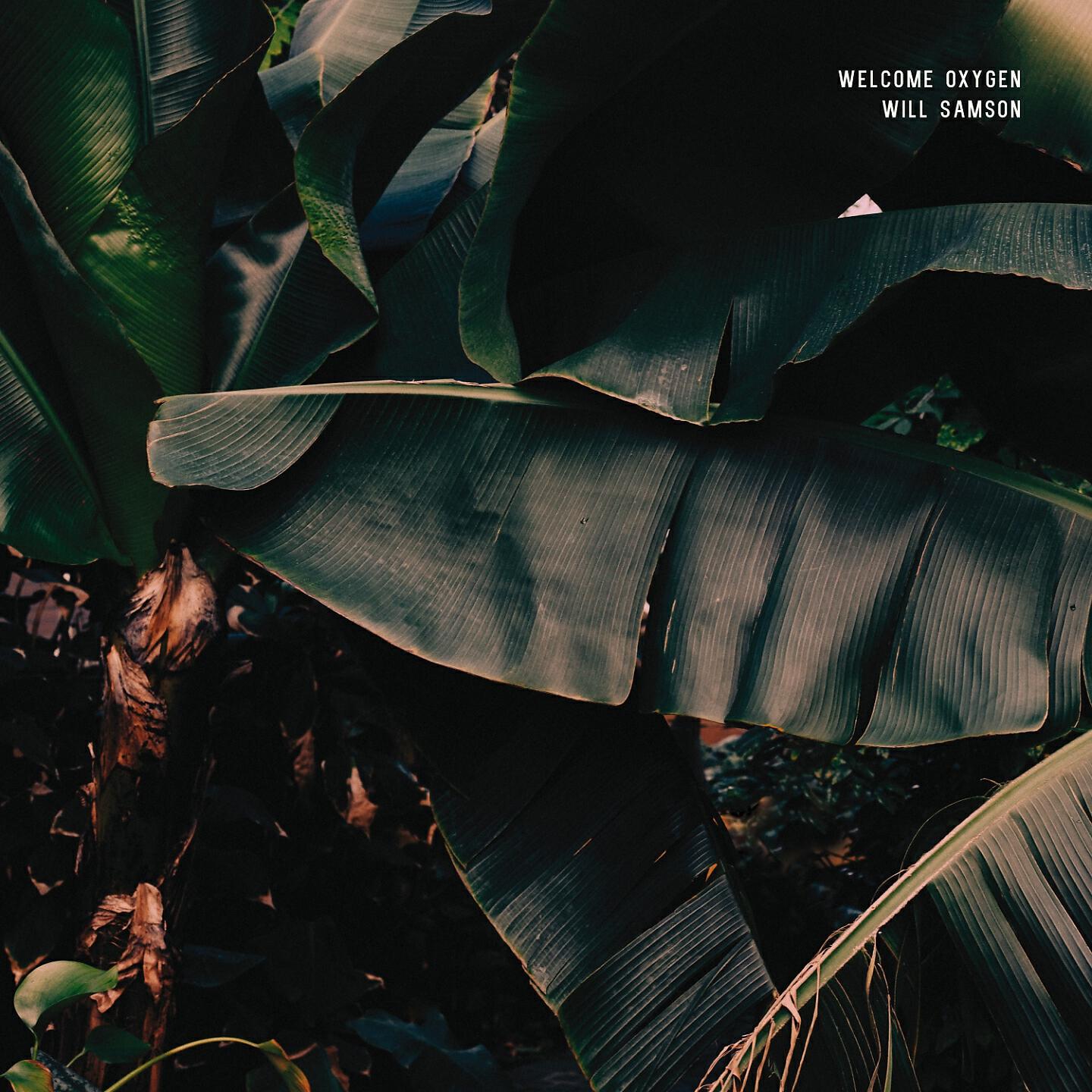 Will Samson - Find a Little Light (Day Six) [The Album Leaf Remix]