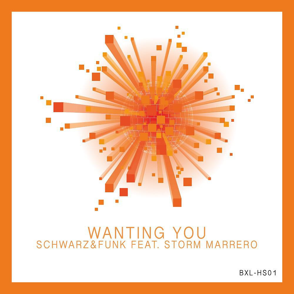 Schwarz - Wanting You (Miller Cruz Brazil Mix)