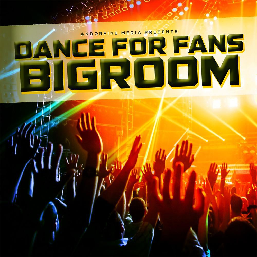 Постер альбома Dance for Fans Bigroom